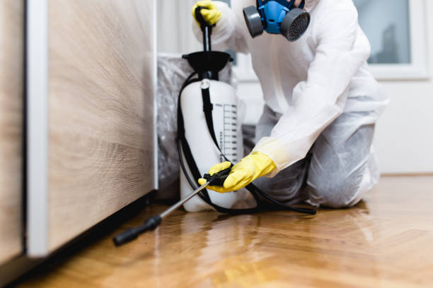 Best Affordable Pest Control Services  in Zimmerman, MN