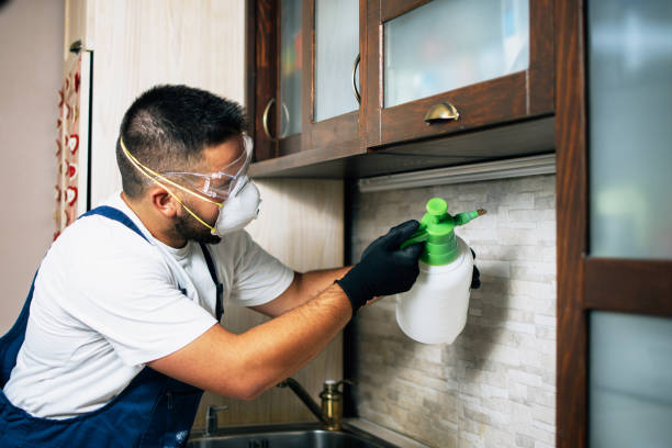 Best Best Pest Control Companies  in Zimmerman, MN
