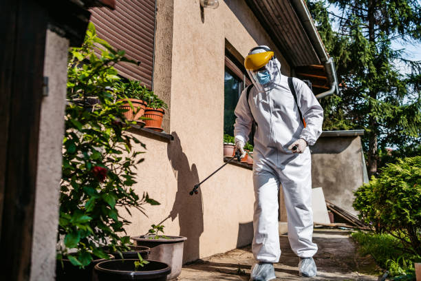Trusted Zimmerman, MN Pest Control Experts