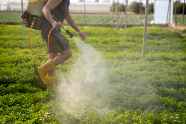 Best Mosquito Control Services  in Zimmerman, MN