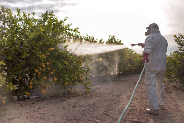 Best Pest Removal Services  in Zimmerman, MN