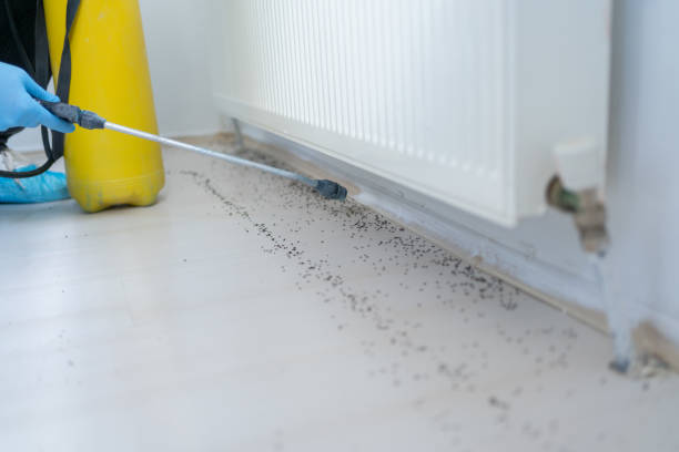 Best Pest Prevention Services  in Zimmerman, MN