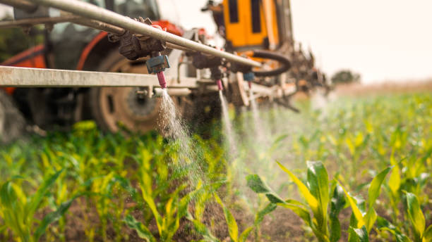 Best Pest Removal Services  in Zimmerman, MN