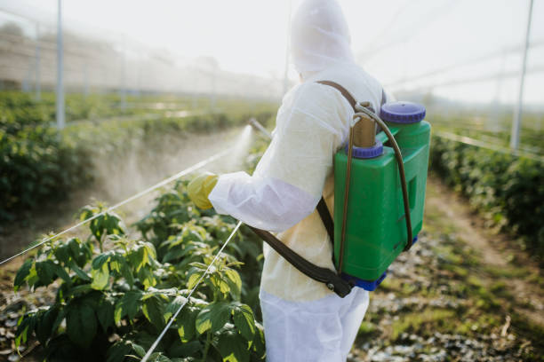 Best Flea Control Services  in Zimmerman, MN